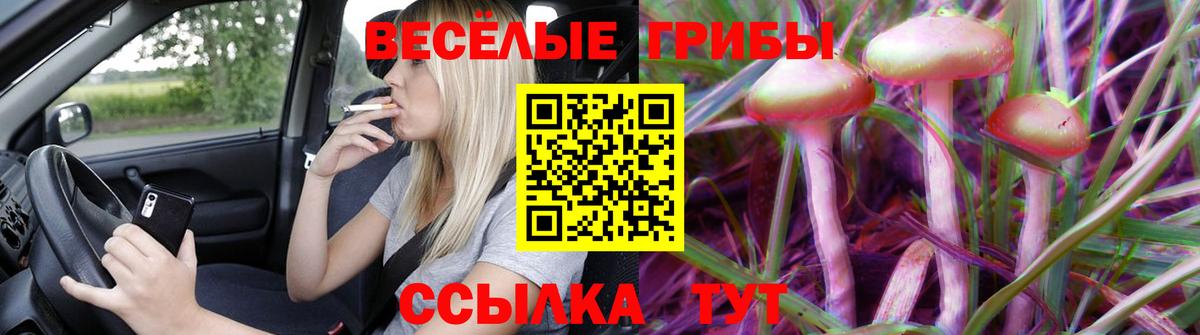 Псилоцибиновые грибы мухоморы  Вход с VPN  Усть-Илимск 